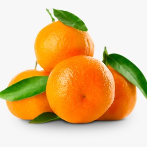 mandarin orange / citrus / tangerine / Meishan tangerines