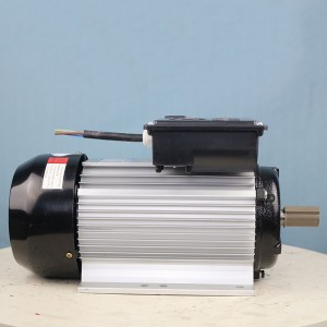 Burn-free safety (national standard power) motor