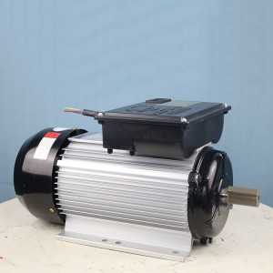 Burn-free safety (national standard power) motor