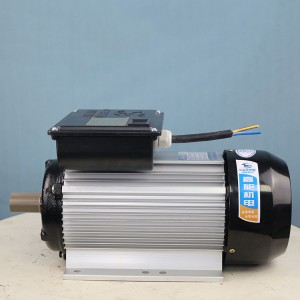 Burn-free safety (national standard power) motor