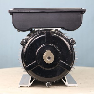 Burn-free safety (national standard power) motor